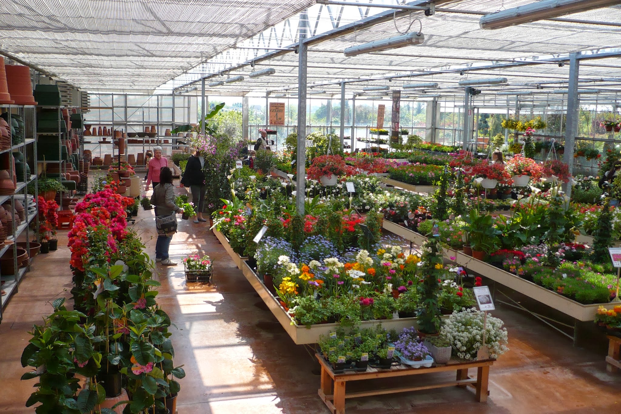 La serra fiorita del Bonini Garden