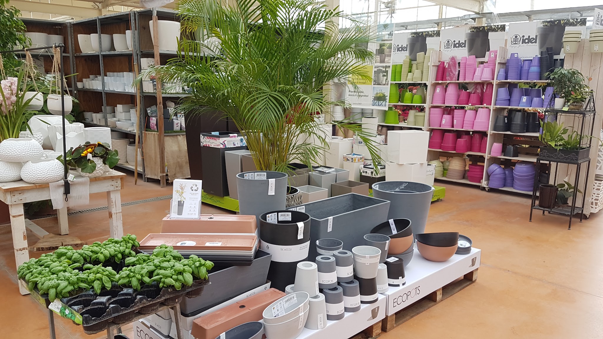 Vasi e piante esposti nel Garden