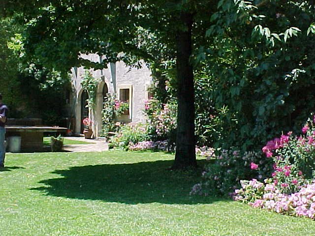 Giardino ombreggiato con fioriture